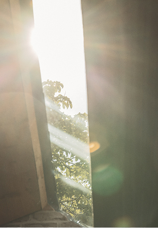 Sunlight falling through a tall studio window