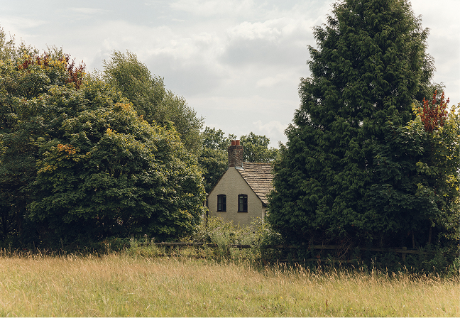 Mature parkland trees within a country estate
