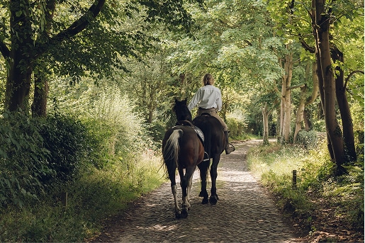 Rider on horseback along the cobbled lane