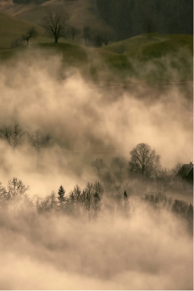 Morning mist over the wooded valley
